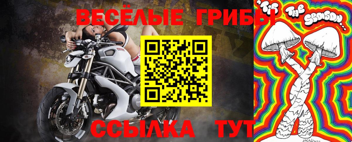 Псилоцибиновые грибы мухоморы  Псилоцибиновые грибы Psilocybe  Курганинск  Вход с VPN 
