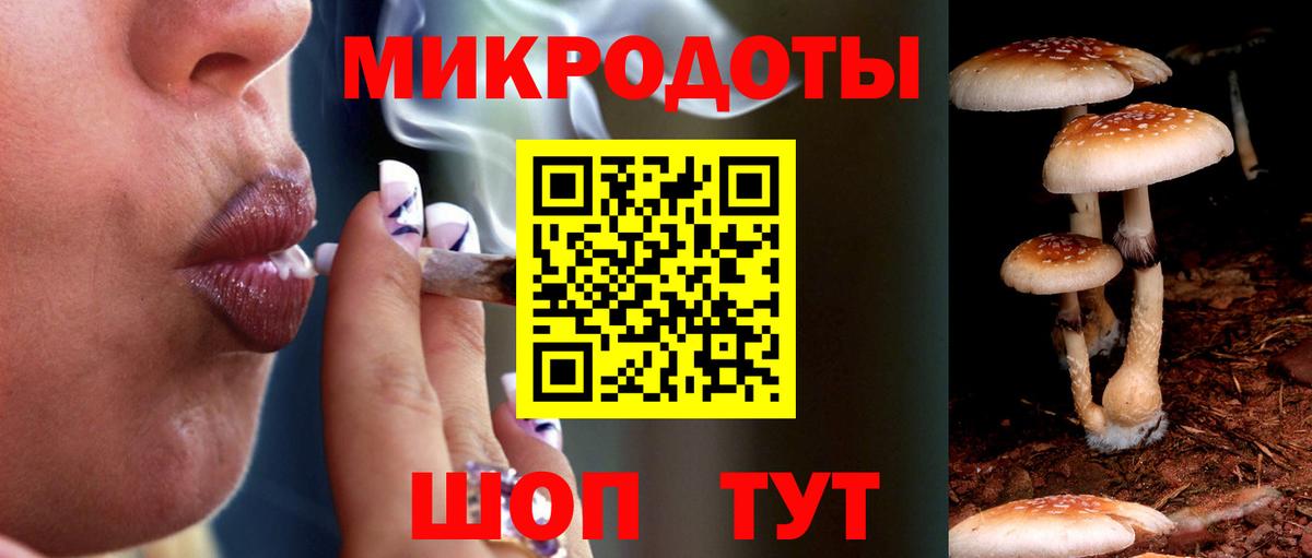 Псилоцибиновые грибы GOLDEN TEACHER Курганинск